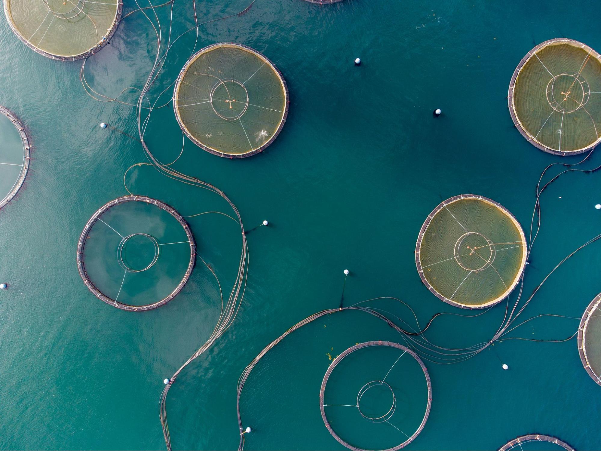 Custom spun metal parts for aquaculture applications